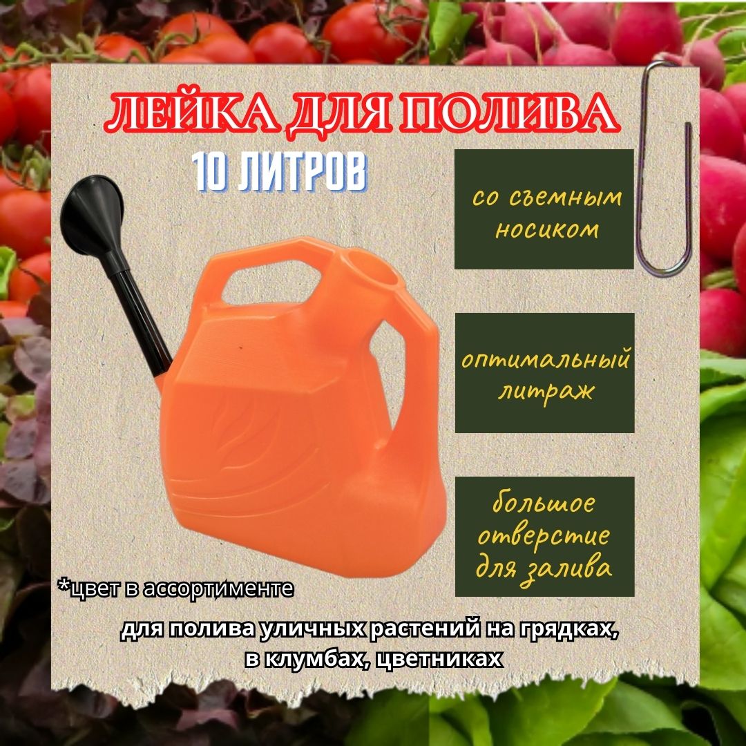 /products/leyka-gardeniya-10l-plastmassovaya-so-semnym-nosikom/