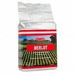 Дрожжи Merlot (Мерло) 500 г