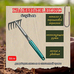 Грабельки ЛЮКС (6 зубьев)